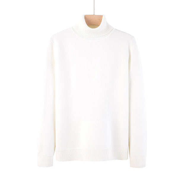 Rollkragenpullover - Arvid
