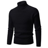 Pull à col roulé pour hommes - Darnel