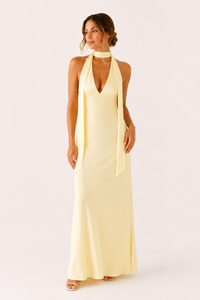 Robe longue femme dos nu décolleté profond élégante - Alessa
