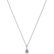 Argent