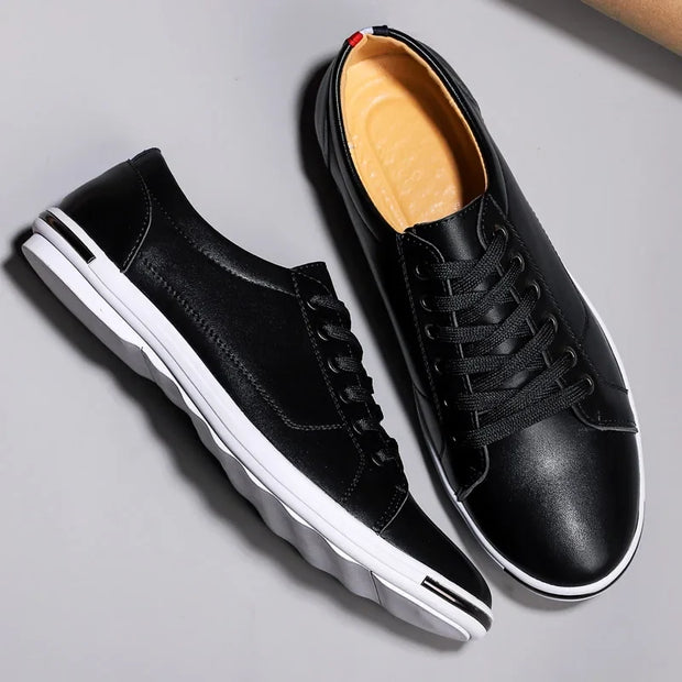 Chaussure basse Premier - Isidro
