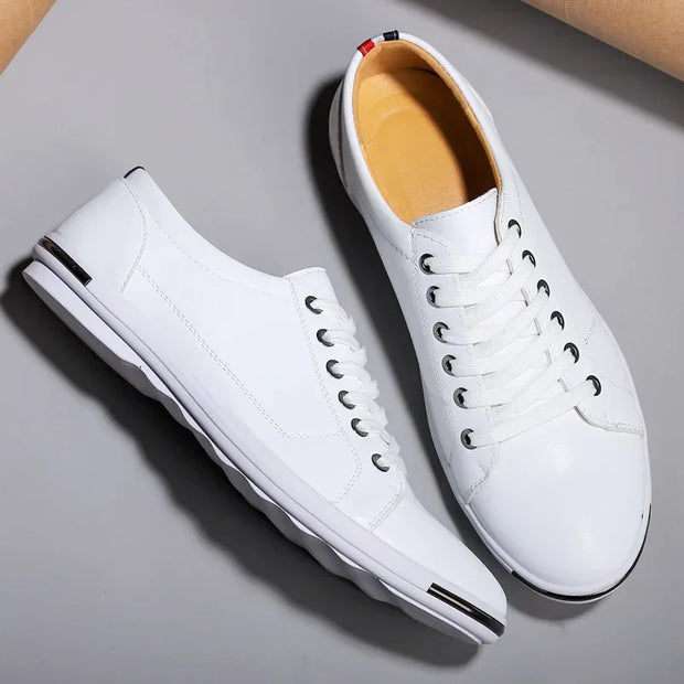 Chaussure basse Premier - Isidro
