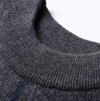 Pull à col rond stylé et de haute qualité pour hommes
