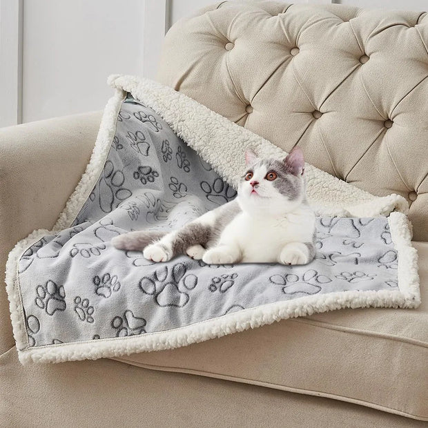 Couverture d'hiver imperméable pour animaux de compagnie