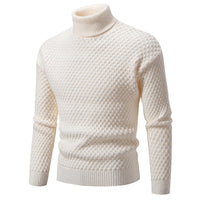 Pull à col roulé pour hommes - Darnel