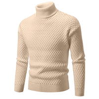 Pull à col roulé pour hommes - Darnel
