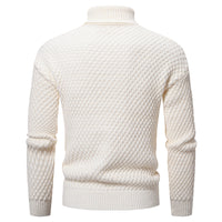 Pull à col roulé pour hommes - Darnel