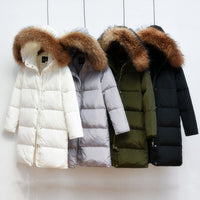 Arctic Luxe - Doudoune Élégante Longue