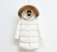 Arctic Luxe - Doudoune Élégante Longue